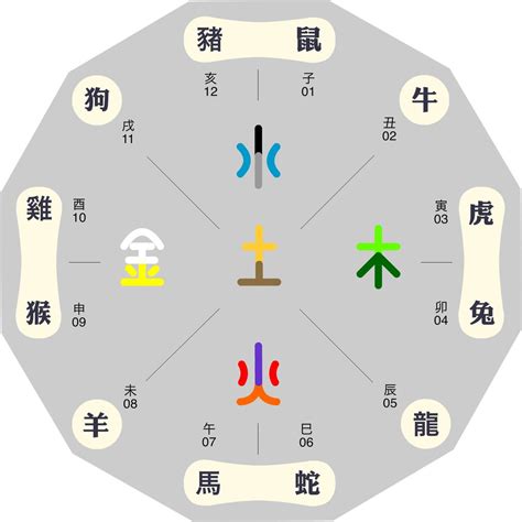 五行樓層|通俗易懂——根據五行喜忌和生肖選擇樓層風水